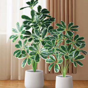 Faux Turtle Indoor Shrub