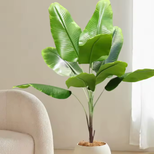 Tropical Banana Indoor Tree
