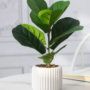 Faux Banyan Indoor Plant