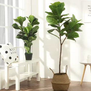 Tropical Paradise Indoor Tree
