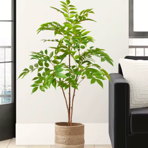 Tropical Banyan Indoor Tree